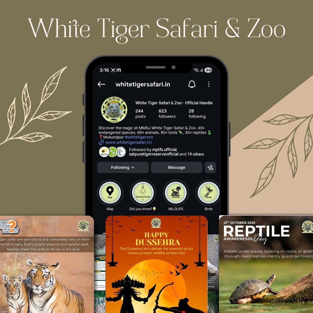 White Tiger Safari & Zoo